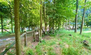 Parcela en Venta en Camino Villarrica - Lican Ray