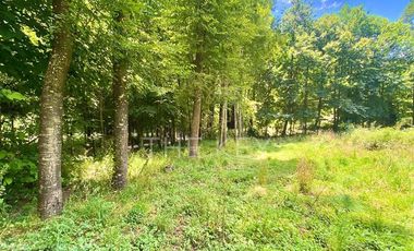 Parcela en Venta en Camino Villarrica - Lican Ray