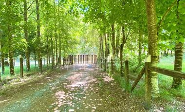 Parcela en Venta en Camino Villarrica - Lican Ray