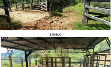 finca en venta en vereda la palmira. Cod V16994
