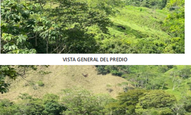 finca en venta en vereda la palmira. Cod V16994