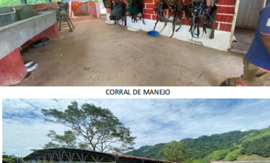 finca en venta en vereda la palmira. Cod V16994