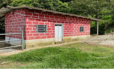 finca en venta en vereda la palmira. Cod V16994