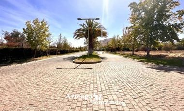 Sitio Condominio Camino El Algarrobo