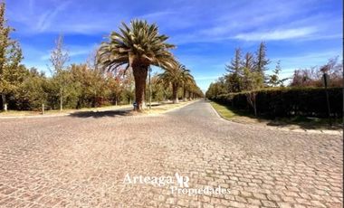 Sitio Condominio Camino El Algarrobo