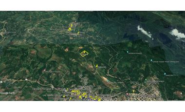 Terreno 6,101 m2 en venta - Tarapoto - San Antonio de Cumbaza