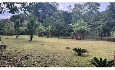 Terreno 6,101 m2 en venta - Tarapoto - San Antonio de Cumbaza