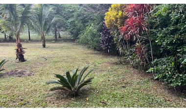 Terreno 6,101 m2 en venta - Tarapoto - San Antonio de Cumbaza