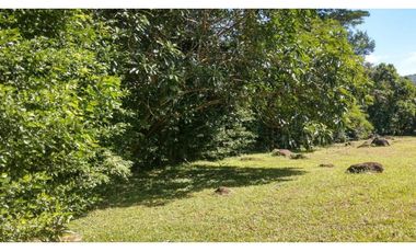 Terreno 6,101 m2 en venta - Tarapoto - San Antonio de Cumbaza