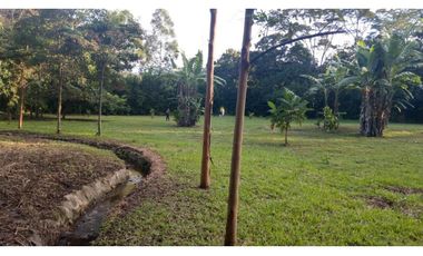 Terreno 6,101 m2 en venta - Tarapoto - San Antonio de Cumbaza