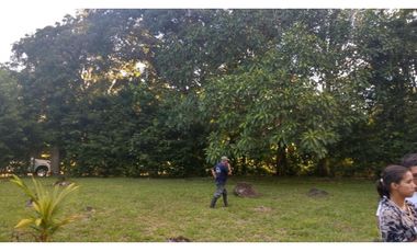 Terreno 6,101 m2 en venta - Tarapoto - San Antonio de Cumbaza