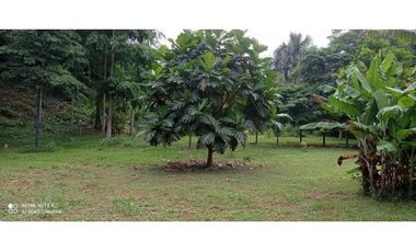 Terreno 6,101 m2 en venta - Tarapoto - San Antonio de Cumbaza