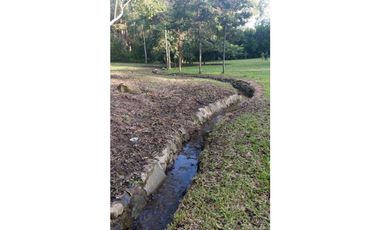 Terreno 6,101 m2 en venta - Tarapoto - San Antonio de Cumbaza