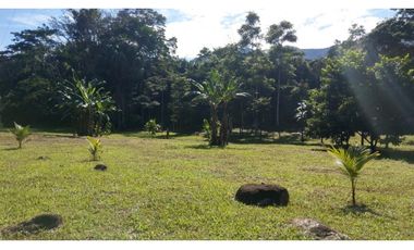 Terreno 6,101 m2 en venta - Tarapoto - San Antonio de Cumbaza