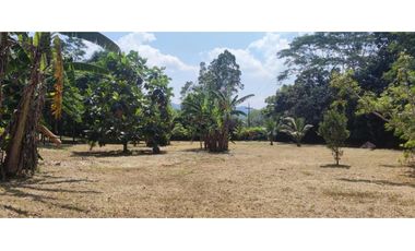 Terreno 6,101 m2 en venta - Tarapoto - San Antonio de Cumbaza