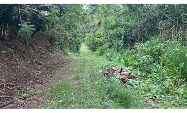 Terreno 6,101 m2 en venta - Tarapoto - San Antonio de Cumbaza