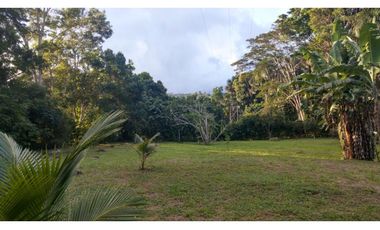Terreno 6,101 m2 en venta - Tarapoto - San Antonio de Cumbaza