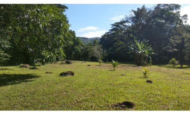 Terreno 6,101 m2 en venta - Tarapoto - San Antonio de Cumbaza