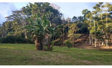 Terreno 6,101 m2 en venta - Tarapoto - San Antonio de Cumbaza