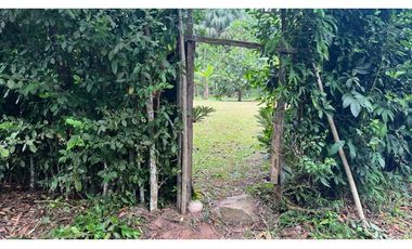 Terreno 6,101 m2 en venta - Tarapoto - San Antonio de Cumbaza