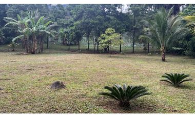 Terreno 6,101 m2 en venta - Tarapoto - San Antonio de Cumbaza