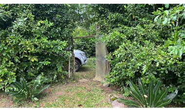 Terreno 6,101 m2 en venta - Tarapoto - San Antonio de Cumbaza