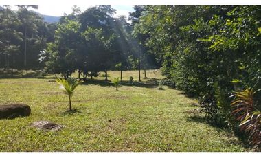 Terreno 6,101 m2 en venta - Tarapoto - San Antonio de Cumbaza