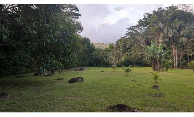 Terreno 6,101 m2 en venta - Tarapoto - San Antonio de Cumbaza