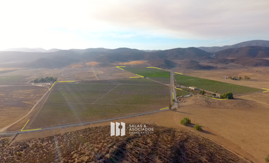 8 A 38 HA. VIÑEDO PRODUCIENDO EN  VALLE DE GUADALUPE !! OPORTUNIDAD!!