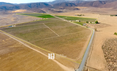 8 A 38 HA. VIÑEDO PRODUCIENDO EN  VALLE DE GUADALUPE !! OPORTUNIDAD!!