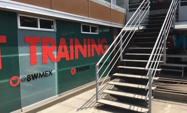 Local - Paseo de las Palmas 300m2 , $209000