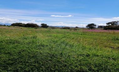 Terrenos en Renta en San Miguel Totocuitlapilco