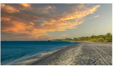 Proyecto Ecológico Terra Viva Playa Coronado-MAGNOLIA