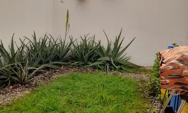 casa en venta en centro. Cod V4675