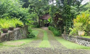 For Sale Amazing Bungalow Estate With Sea View And Mount Agung View Amlapura Karangasem