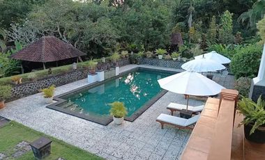 For Sale Amazing Bungalow Estate With Sea View And Mount Agung View Amlapura Karangasem