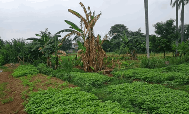 Dijual Tanah Komersil 50 Di Bawah NJOP Di TB Simatupang