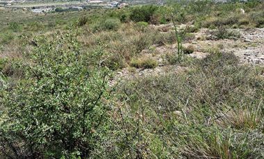 RANCHO EN VENTA, CAÑON DEL PALO DE AGUA, ARTEAGA.