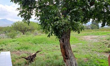 RANCHO EN VENTA, CAÑON DEL PALO DE AGUA, ARTEAGA.