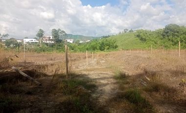 LOTE INDUSTRIAL EN VENTA VÍA ARMENIA/PEREIRA