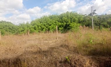 LOTE INDUSTRIAL EN VENTA VÍA ARMENIA/PEREIRA