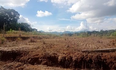 LOTE INDUSTRIAL EN VENTA VÍA ARMENIA/PEREIRA