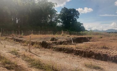 LOTE INDUSTRIAL EN VENTA VÍA ARMENIA/PEREIRA