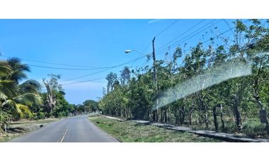 VENDO FINCA DE 8.2 HAS EN DOLEGA