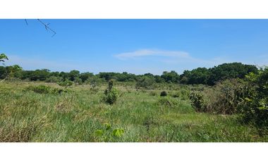 VENDO FINCA DE 8.2 HAS EN DOLEGA