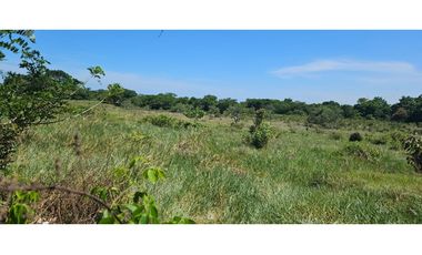VENDO FINCA DE 8.2 HAS EN DOLEGA
