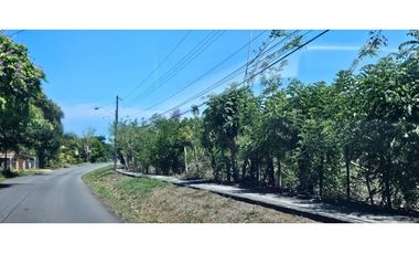 VENDO FINCA DE 8.2 HAS EN DOLEGA