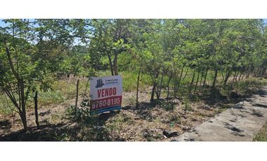 VENDO FINCA DE 8.2 HAS EN DOLEGA
