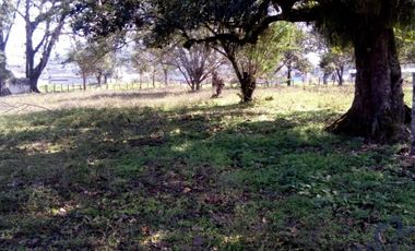 VENDO EXCELENTE   TERRENO  EN COATEPEC