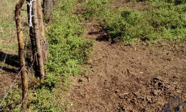 VENDO EXCELENTE   TERRENO  EN COATEPEC